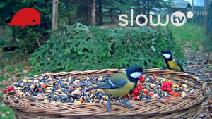 slowtv_karmik